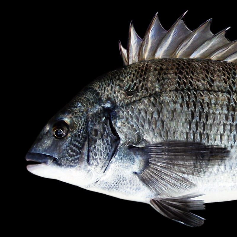 Rodney's Fish Shop - family fishmonger and seafood shop in Mosta, photo 1