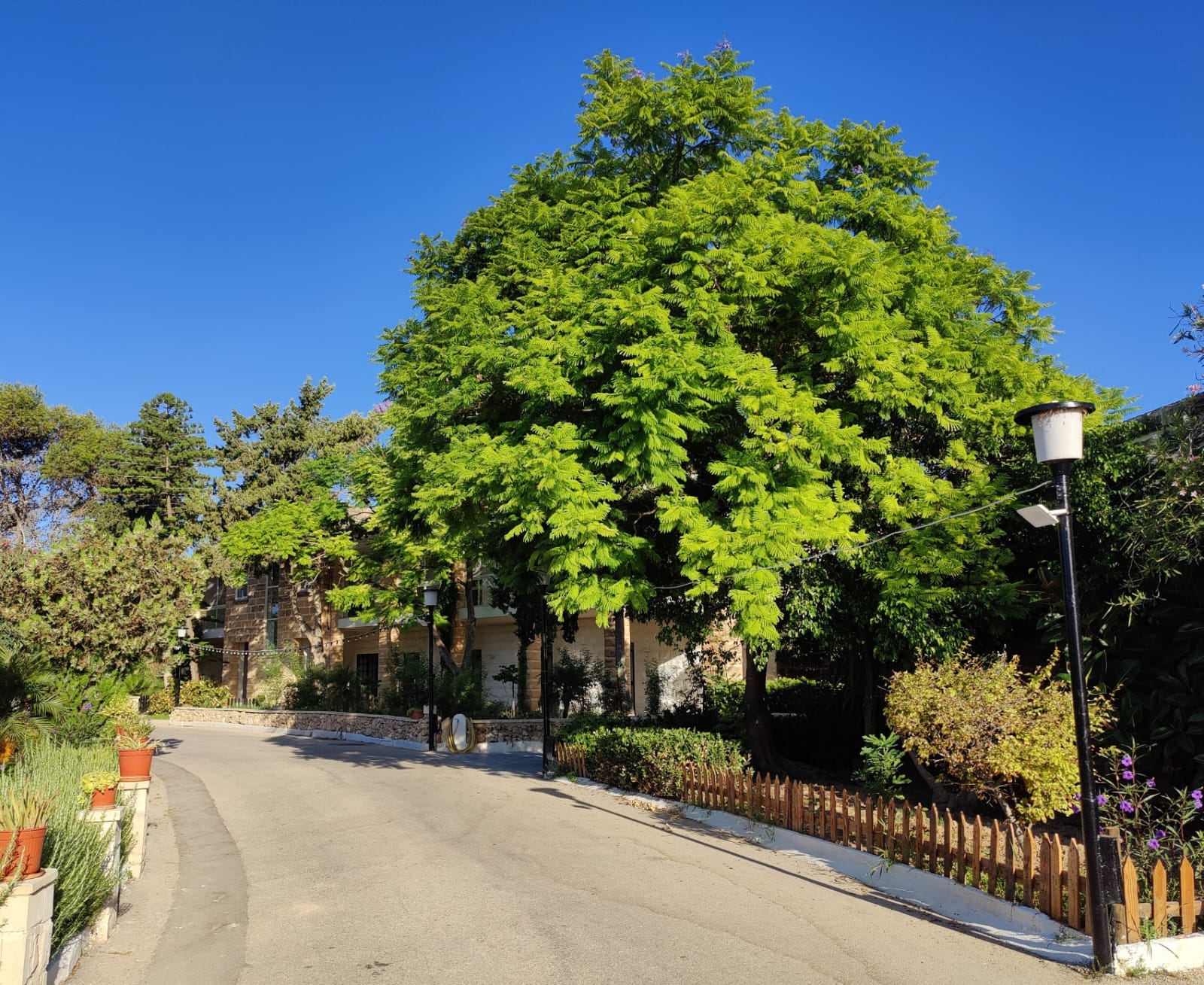 San Blas Therapeutic Community - residential rehabilitation programme for men in Żebbuġ, photo 1