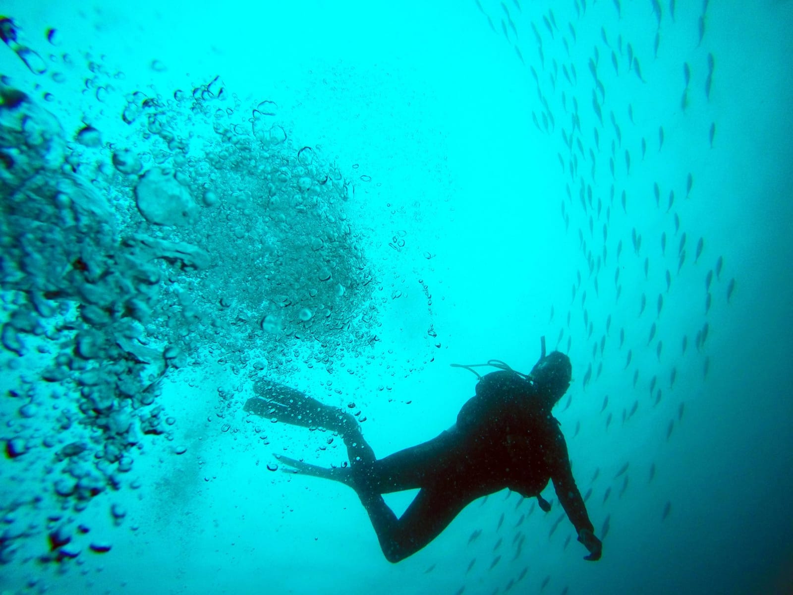 Scuba Kings Gozo - padi dive centre in gozo in Marsalforn, photo 14