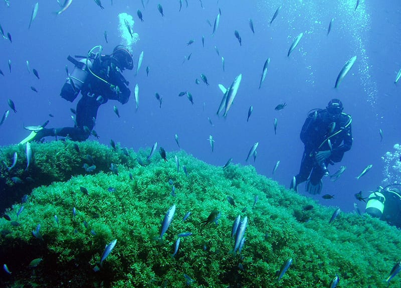 Scuba Kings Gozo - padi dive centre in gozo in Marsalforn, photo 6