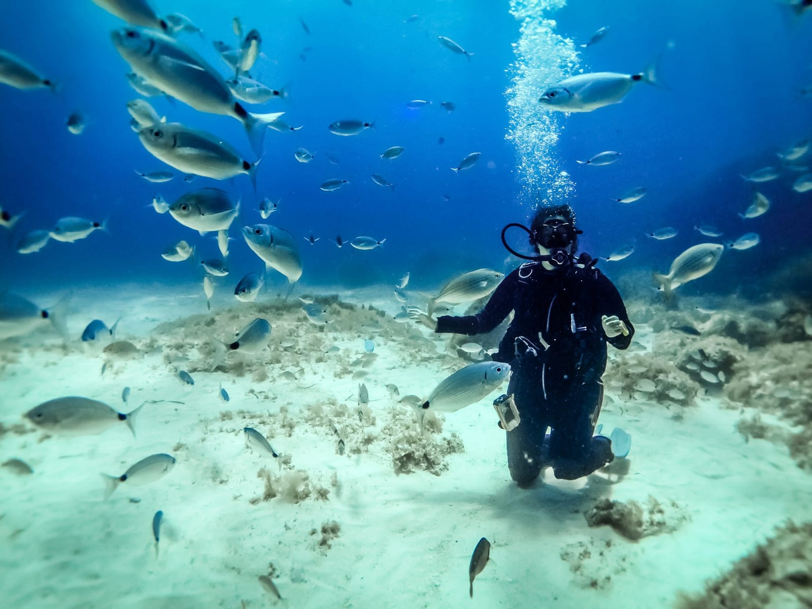 Scuba Kings Gozo - padi dive centre in gozo in Marsalforn, photo 8