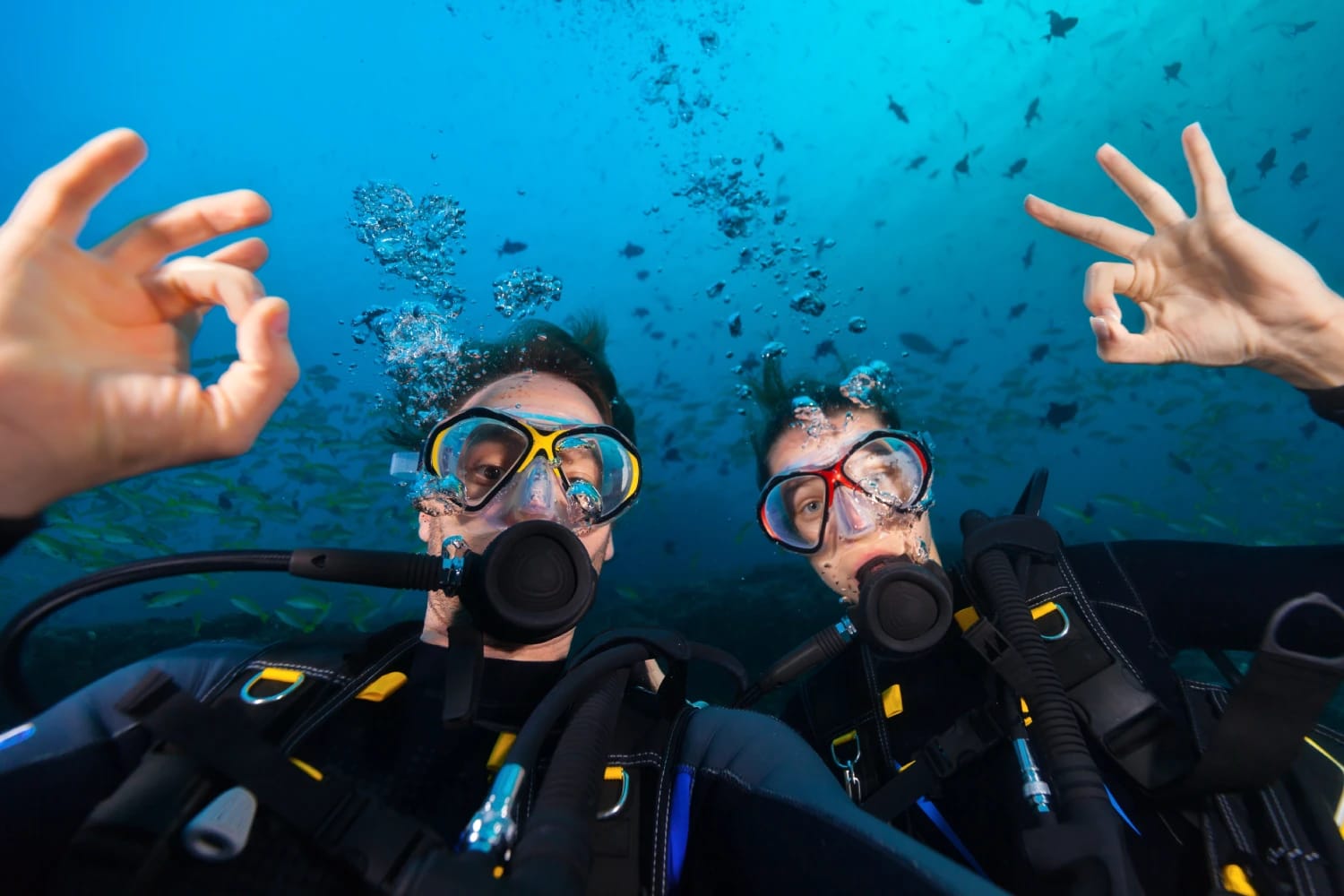 Scuba Malta - dive centre and diving courses in St Julian's, photo 7