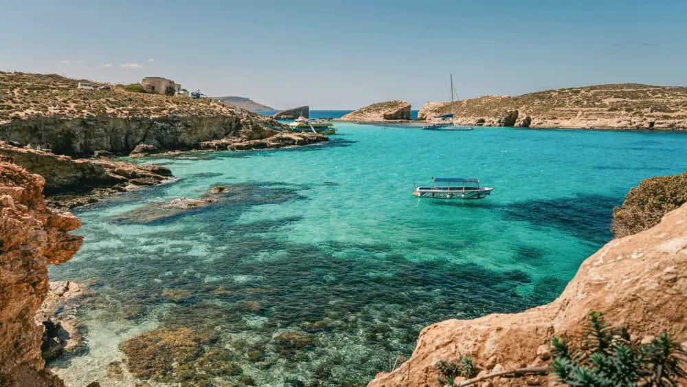 Sea Life Cruises - comino and gozo boat trips in Mellieħa, photo 2