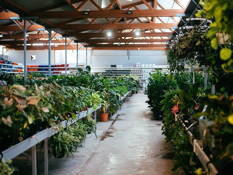 Sherries Estates - garden centre, pet shop and home store in Burmarrad, photo 1