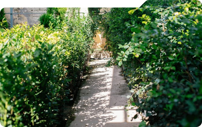 Sherries Estates - garden centre, pet shop and home store in Burmarrad, photo 3