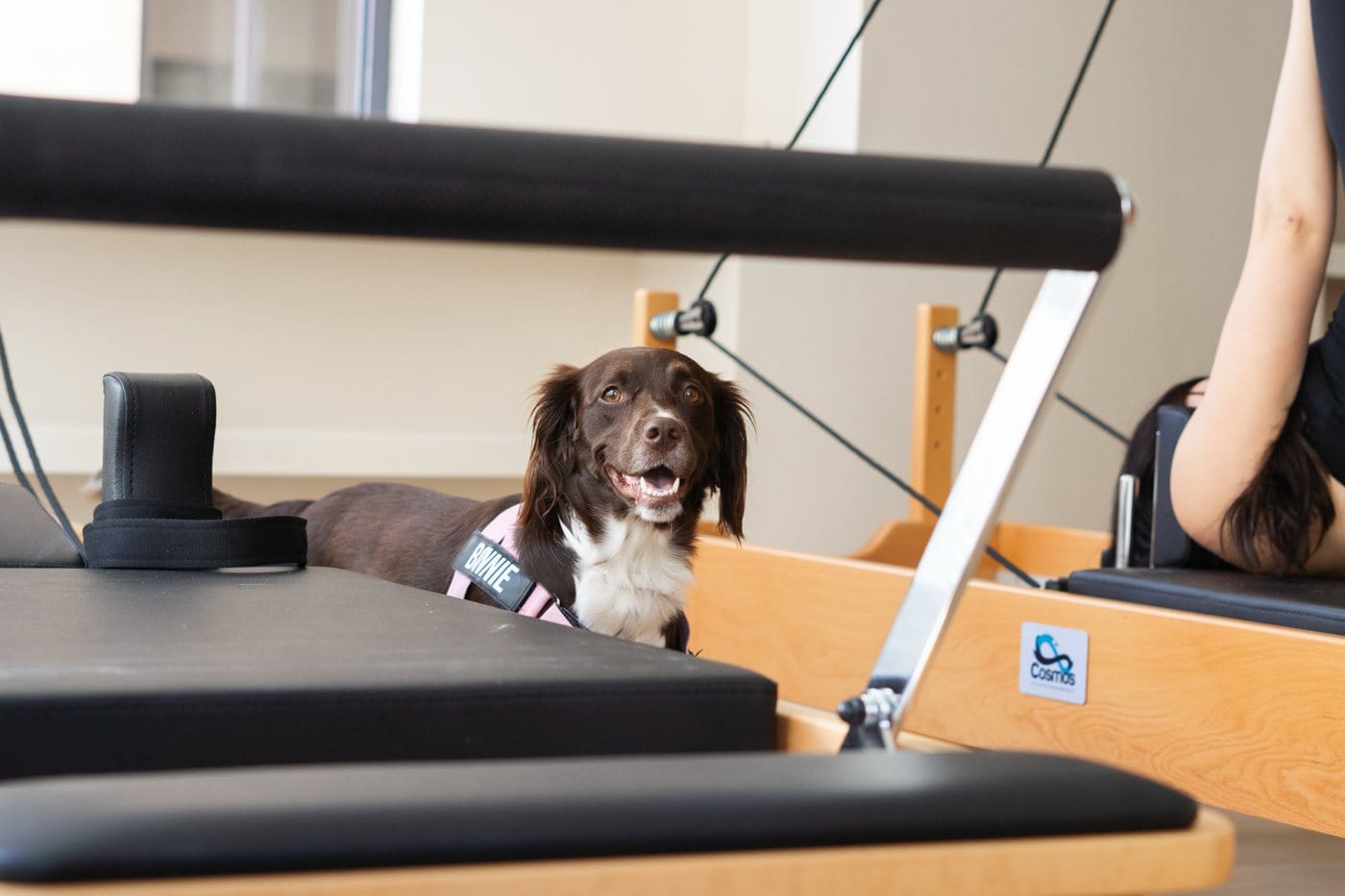 SOMA Studios - reformer and mat pilates studio in Msida, photo 7