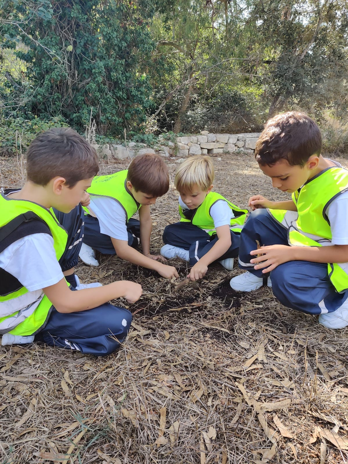 St Martin's College - independent senior and sixth form school in Msida, photo 8