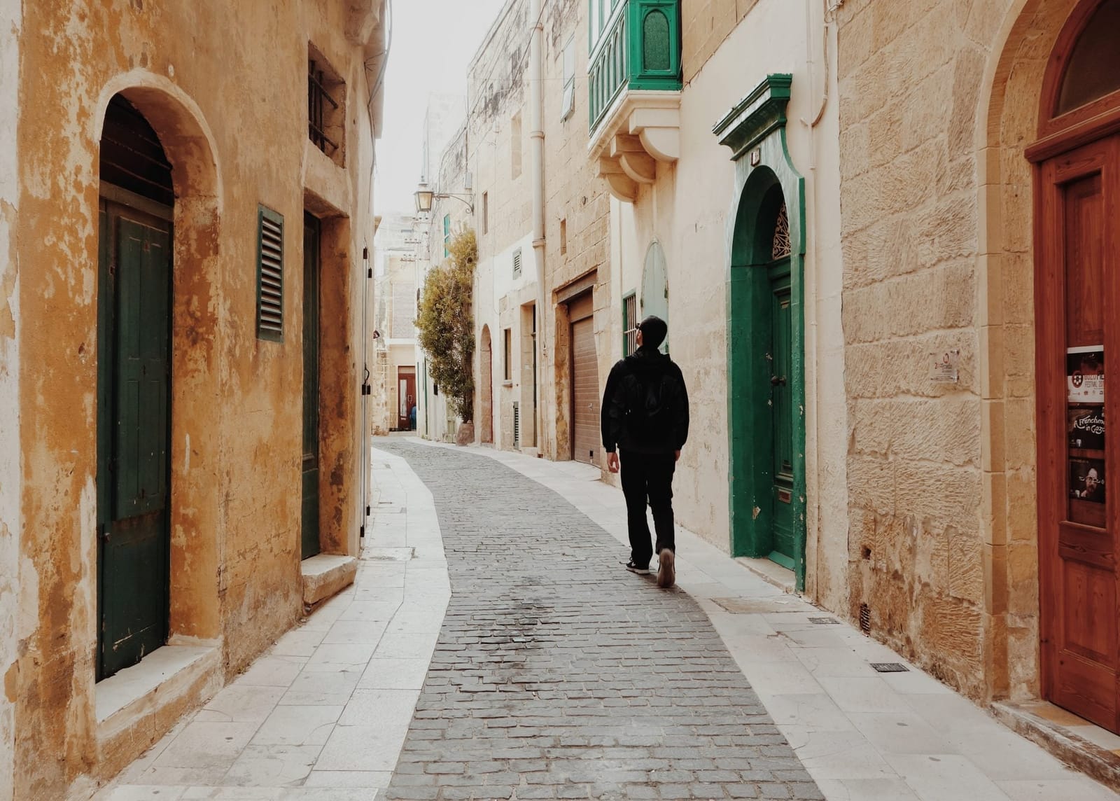 Study First Europe - student admissions and visa guidance in Gżira, photo 2