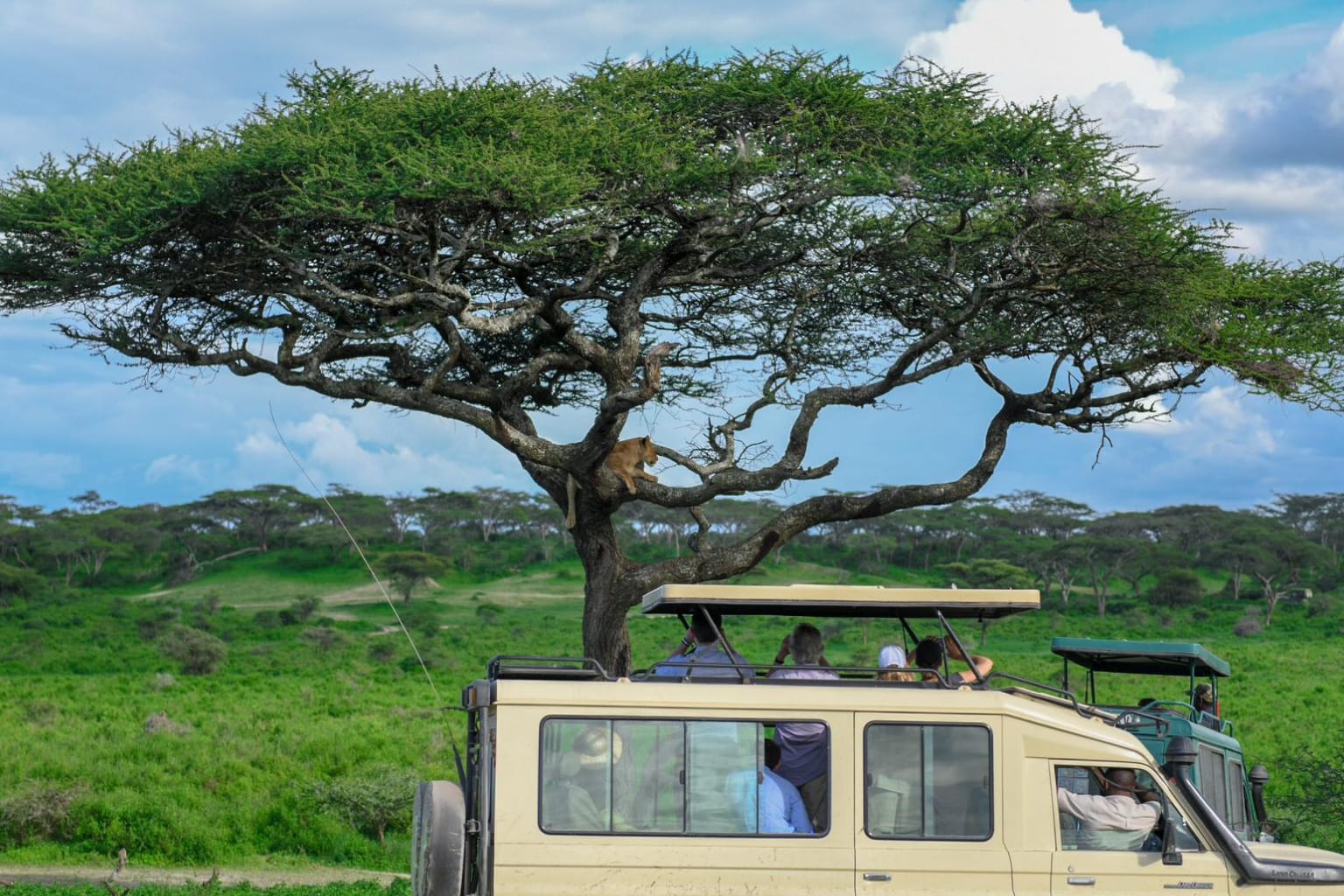 Take A Break Travel - outbound tours and holiday packages in Żejtun, photo 4