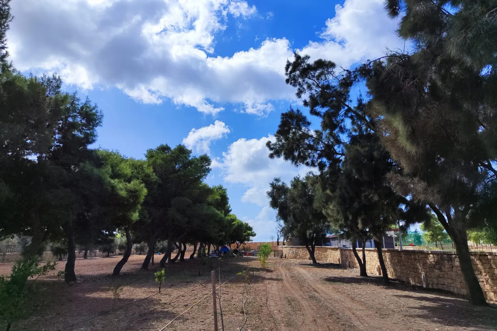 Caritas Tal-Ibwar - adolescent substance use therapeutic centre in Siġġiewi, photo 3