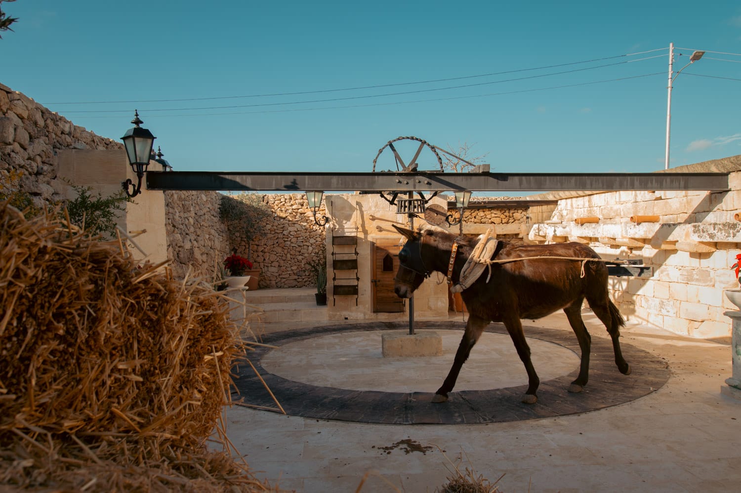 Tax-Xierfa Museum - maltese agricultural heritage museum in Rabat, photo 2