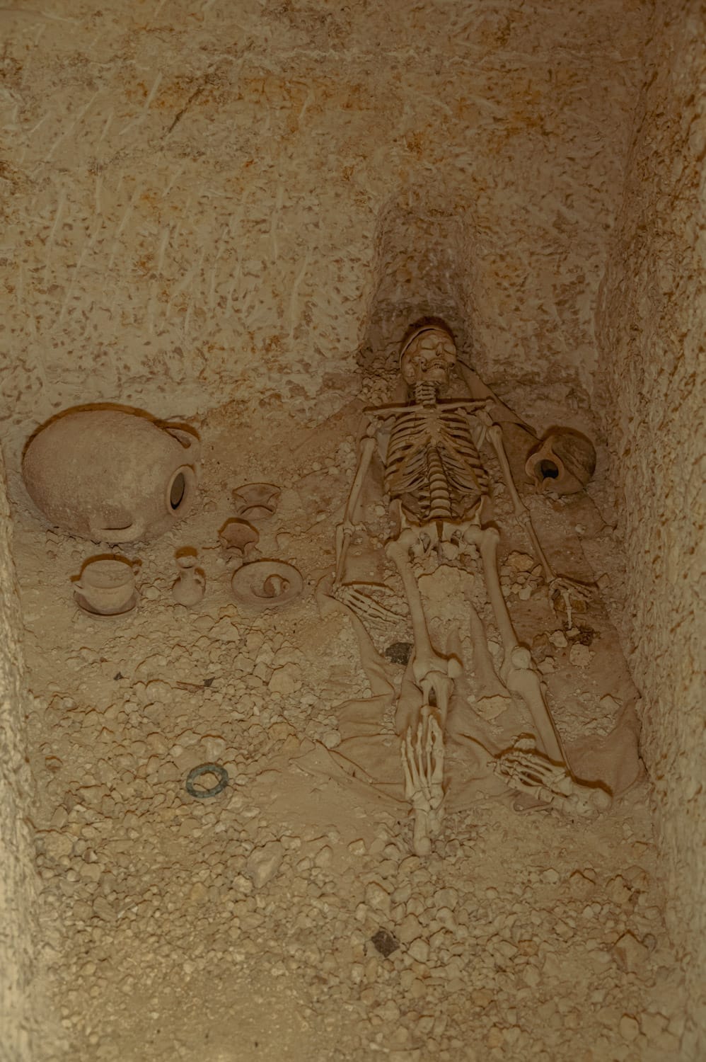 Tax-Xierfa Museum - maltese agricultural heritage museum in Rabat, photo 6