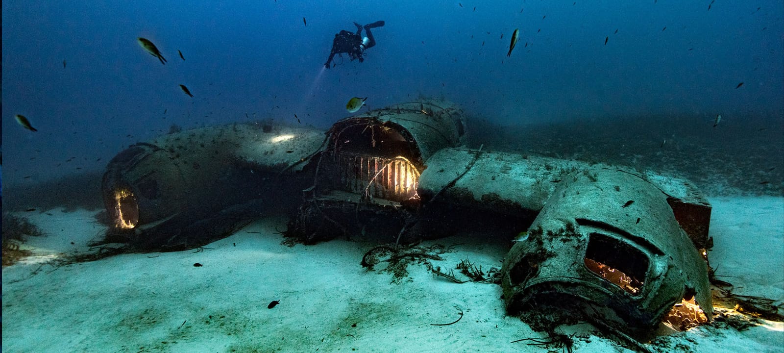 Techwise - technical diving courses and gear in St Julian's, photo 1