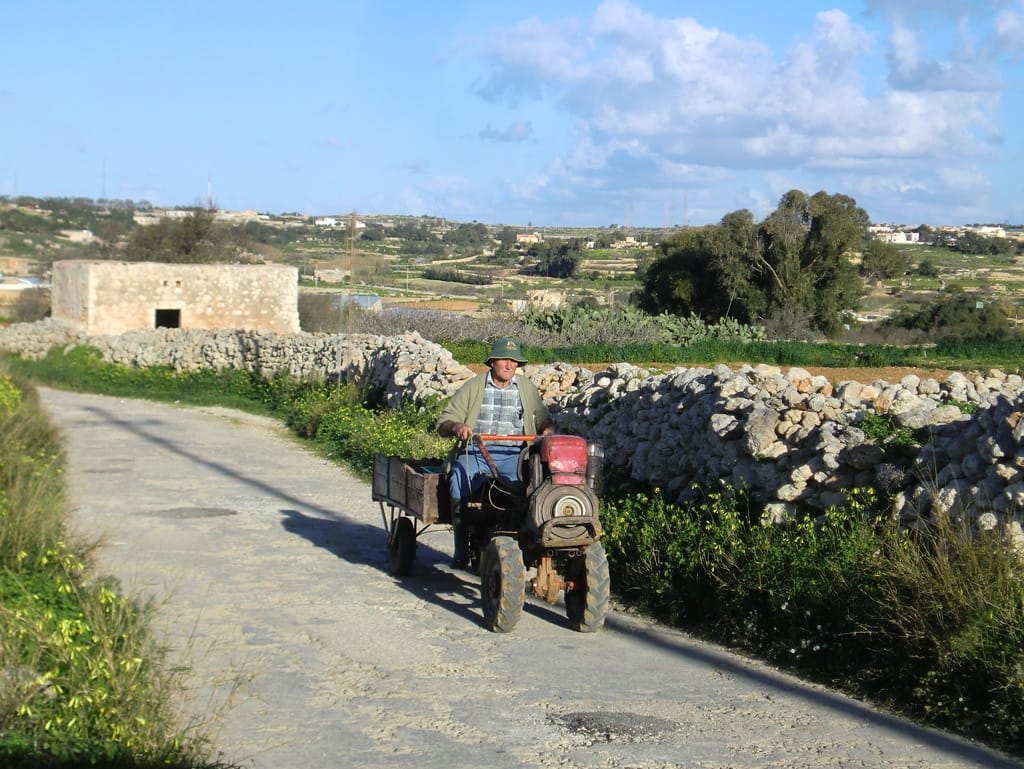 The Cliffs - clifftop cafe and interpretation centre in Dingli, photo 13