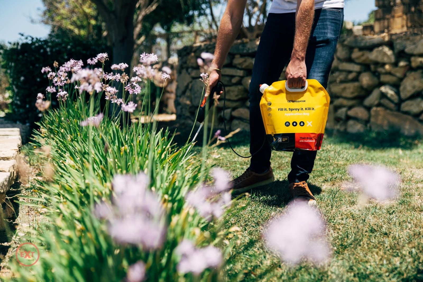 The Exterminator - pest control services and diy kits in Naxxar, photo 2