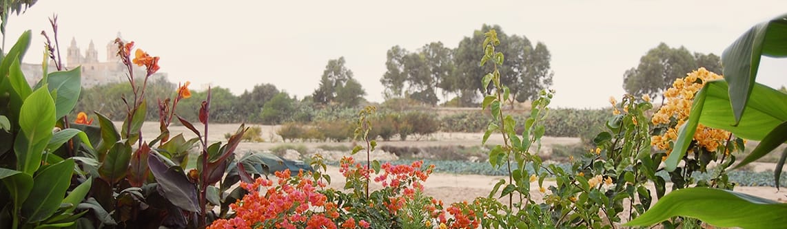 The Garden Studio - landscape and garden design studio in Victoria, photo 16
