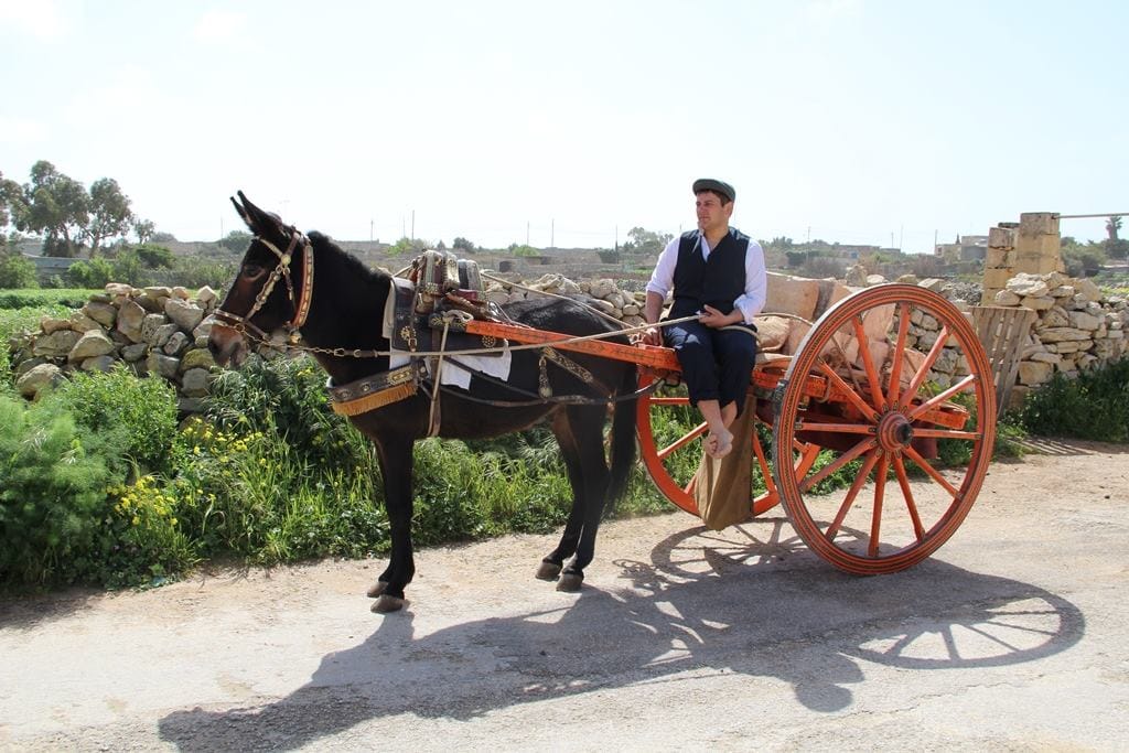 Limestone Heritage - quarry museum, gardens and workshops in Siġġiewi, photo 10