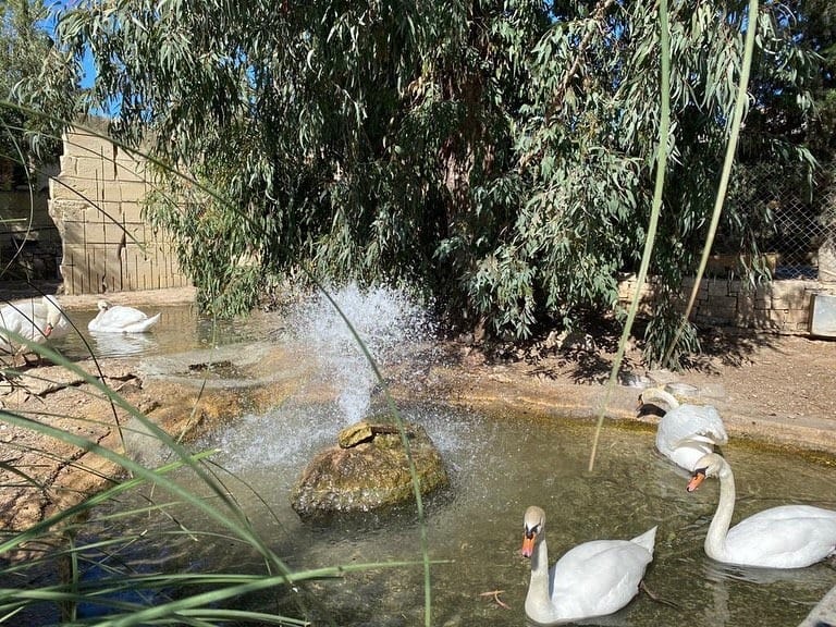Limestone Heritage - quarry museum, gardens and workshops in Siġġiewi, photo 13