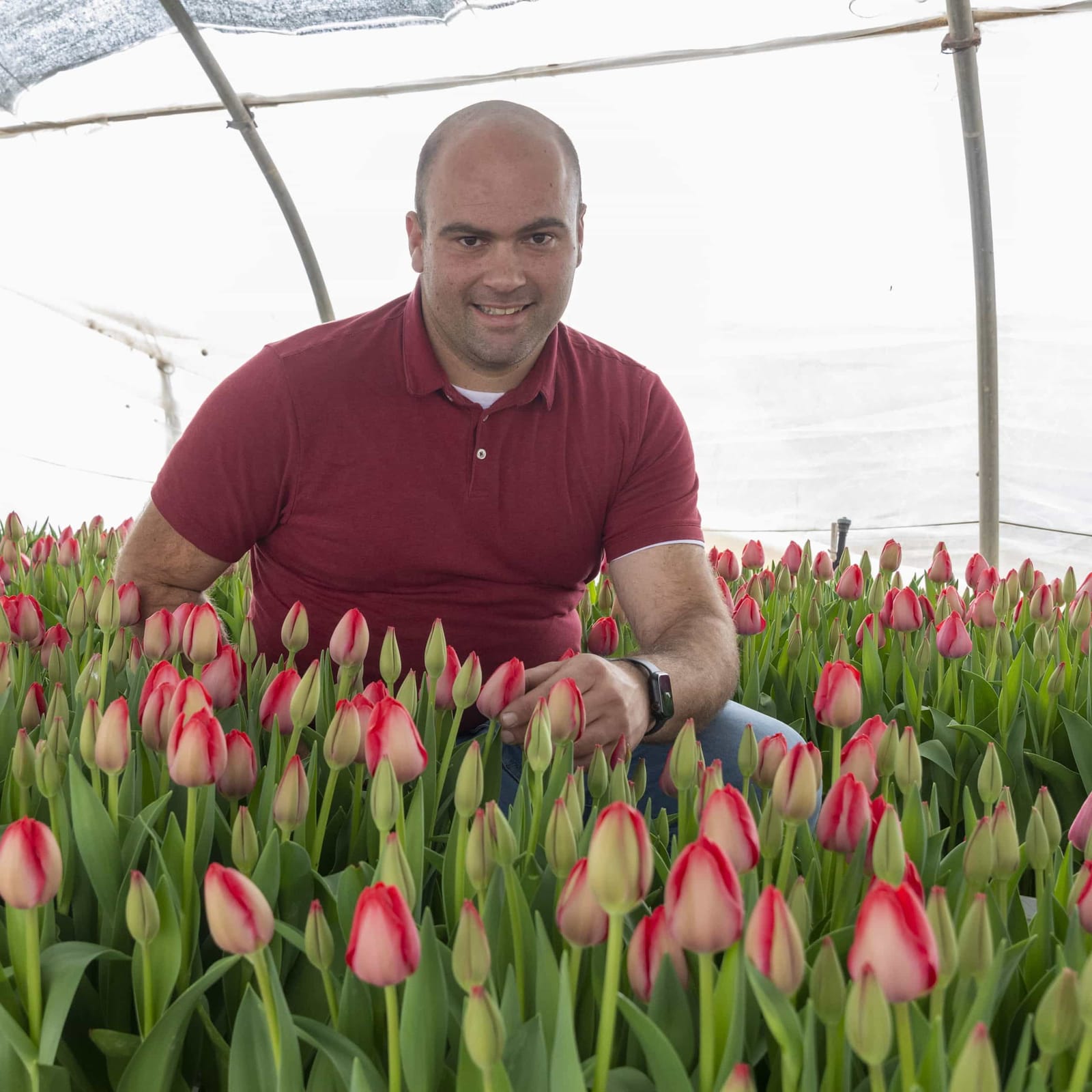 The Malta Florist - sliema florist and flower grower in Sliema, photo 1