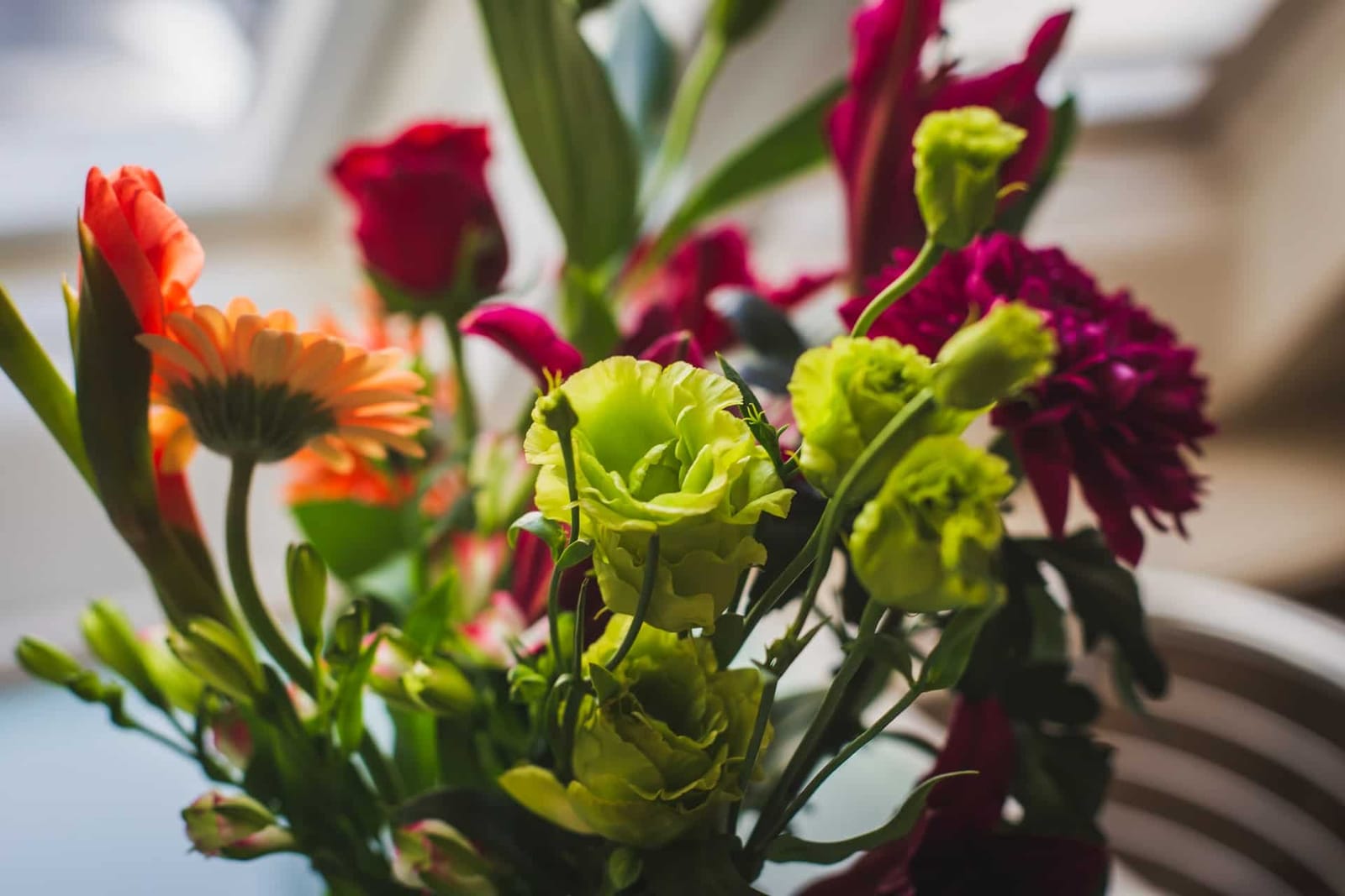 The Malta Florist - sliema florist and flower grower in Sliema, photo 4
