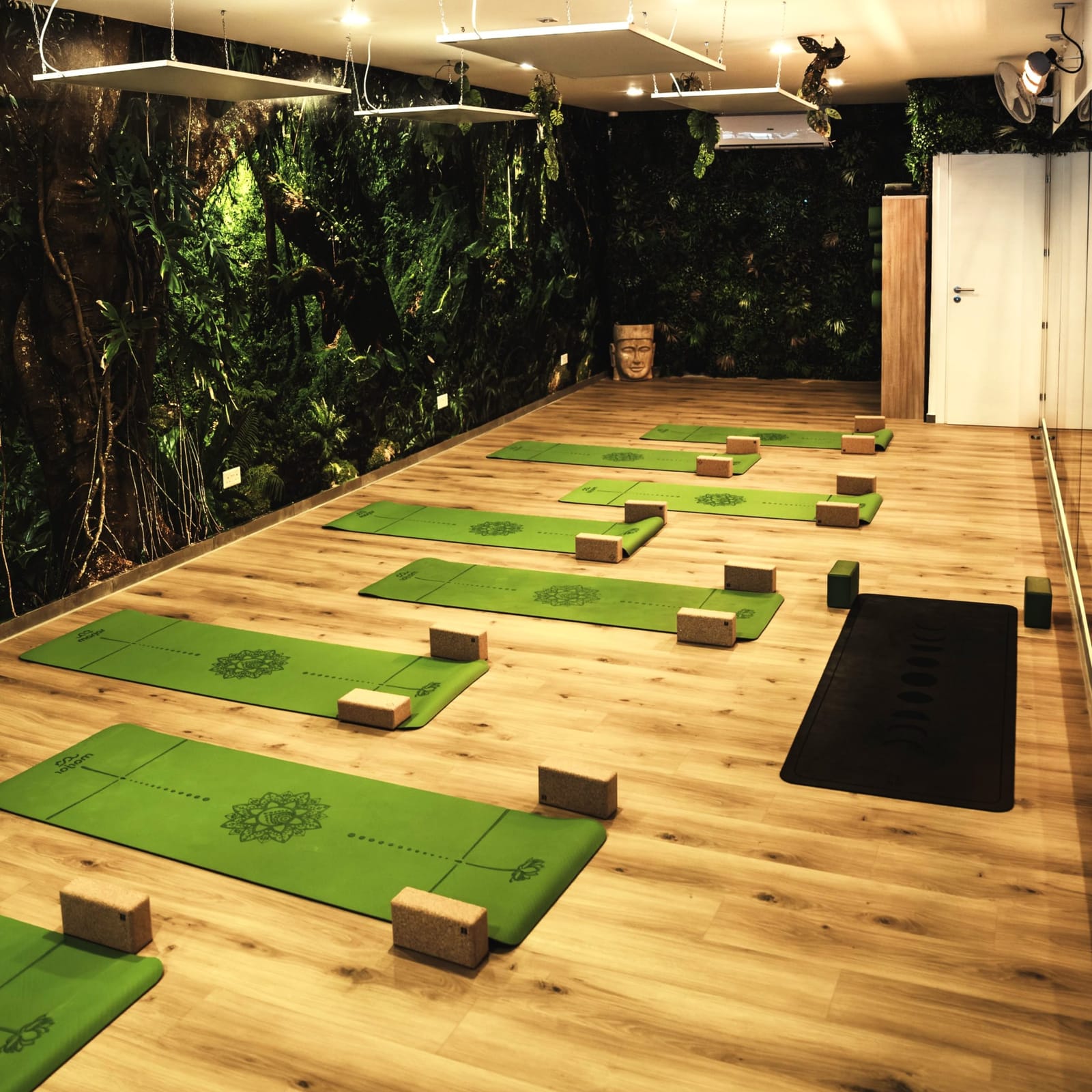 Tropical Temple Yoga - hot and warm yoga studio in San Ġwann, photo 1
