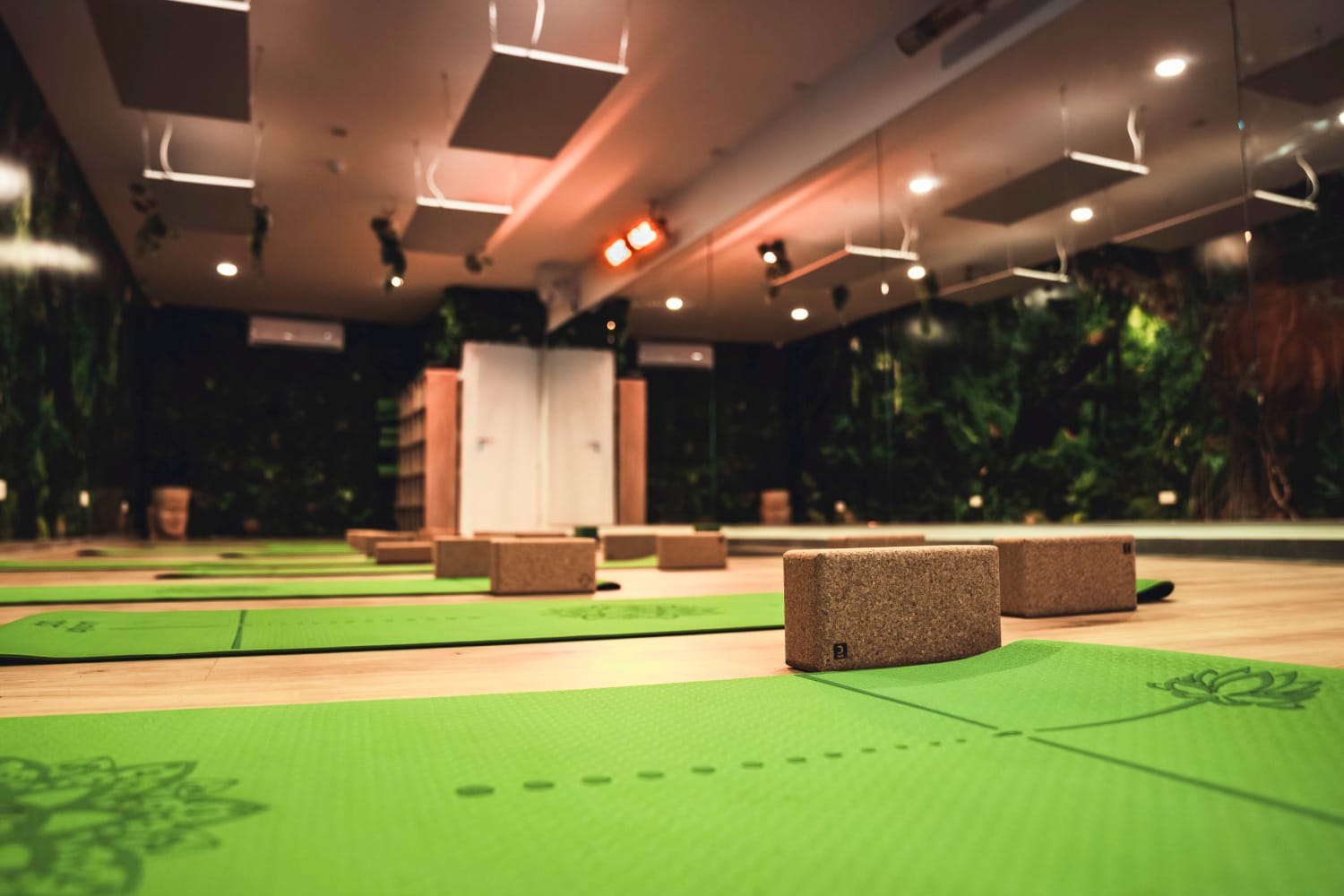 Tropical Temple Yoga - hot and warm yoga studio in San Ġwann, photo 2