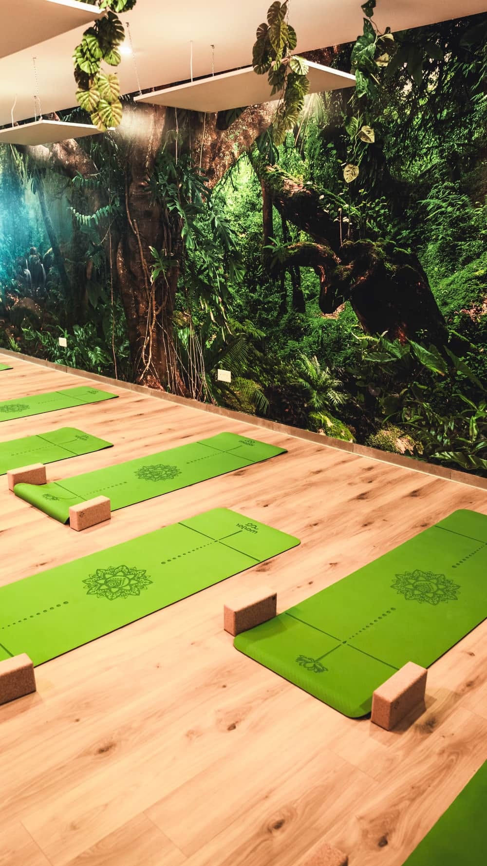 Tropical Temple Yoga - hot and warm yoga studio in San Ġwann, photo 3