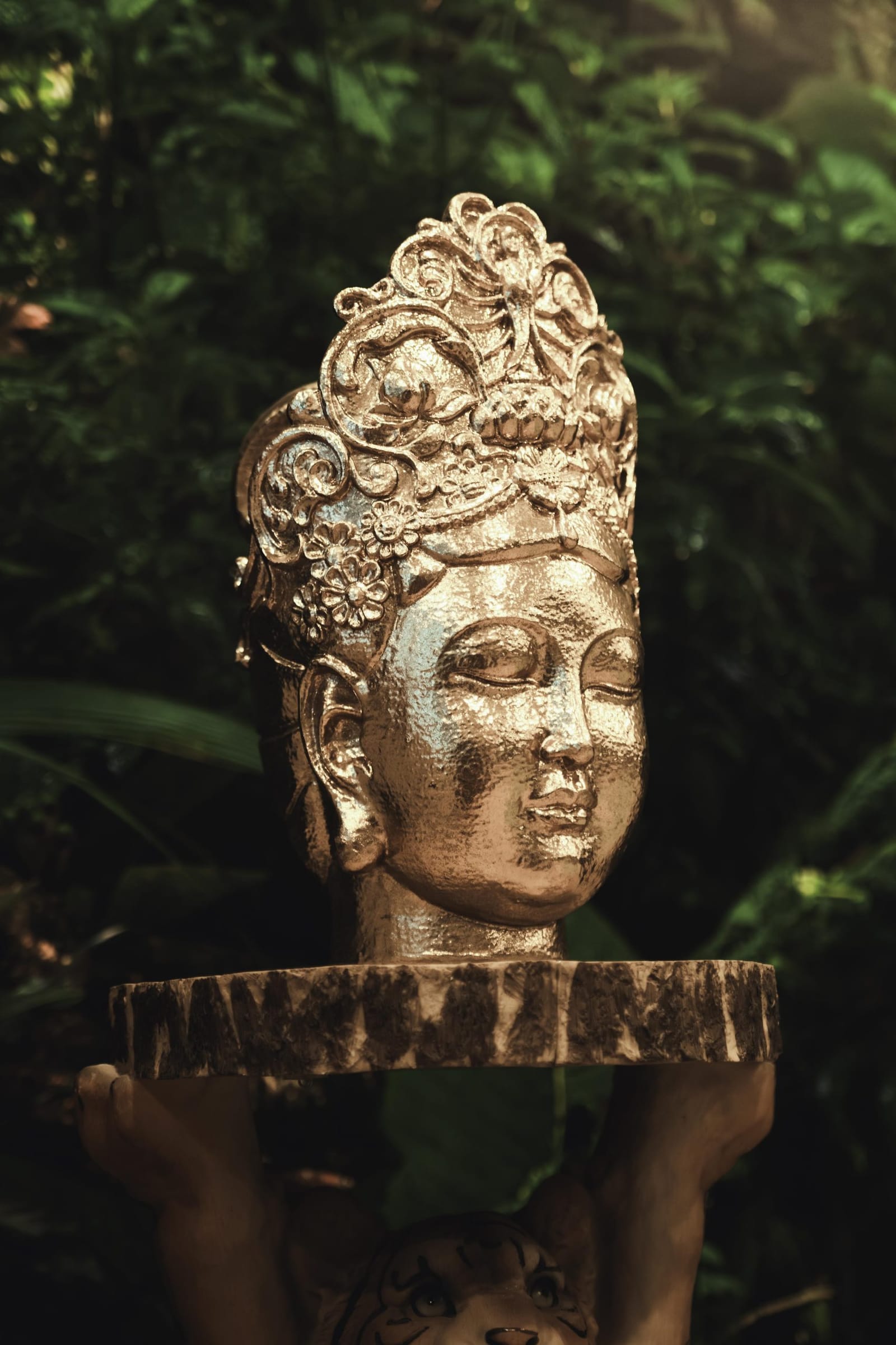 Tropical Temple Yoga - hot and warm yoga studio in San Ġwann, photo 8