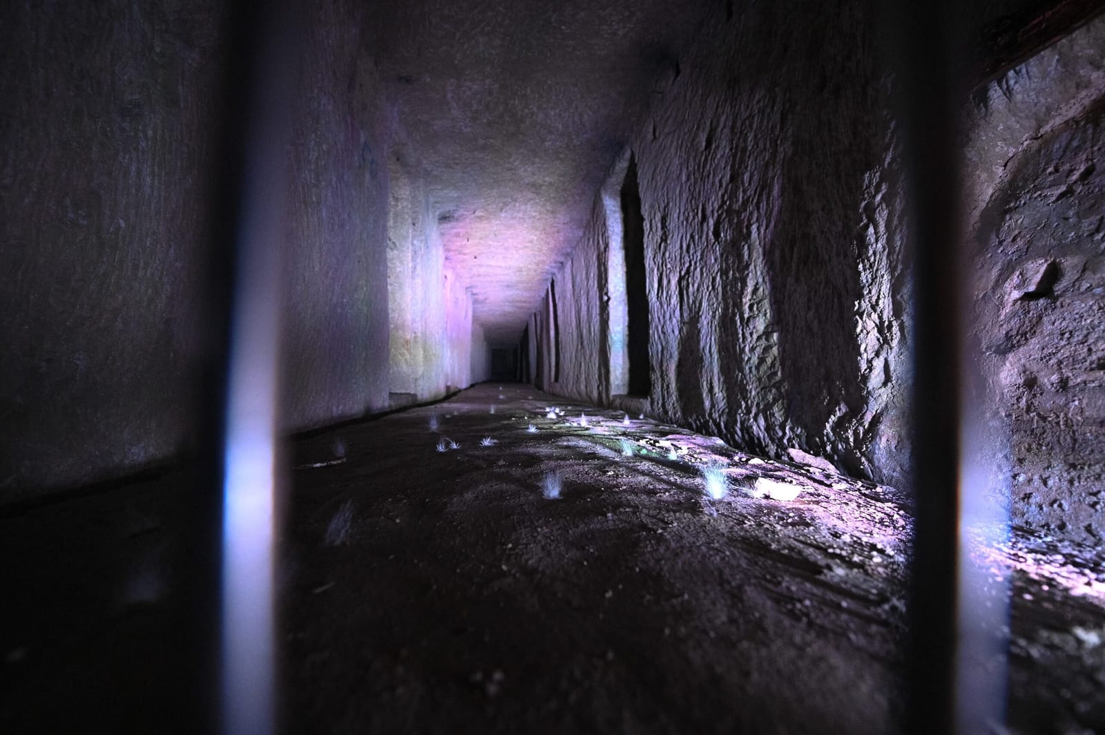 Underground Valletta - guided tunnel and shelter experience in Valletta, photo 1