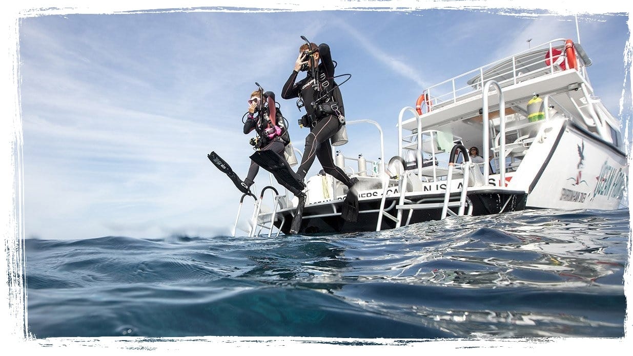 Utina Diving - padi dive centre on gozo in Xlendi, photo 3