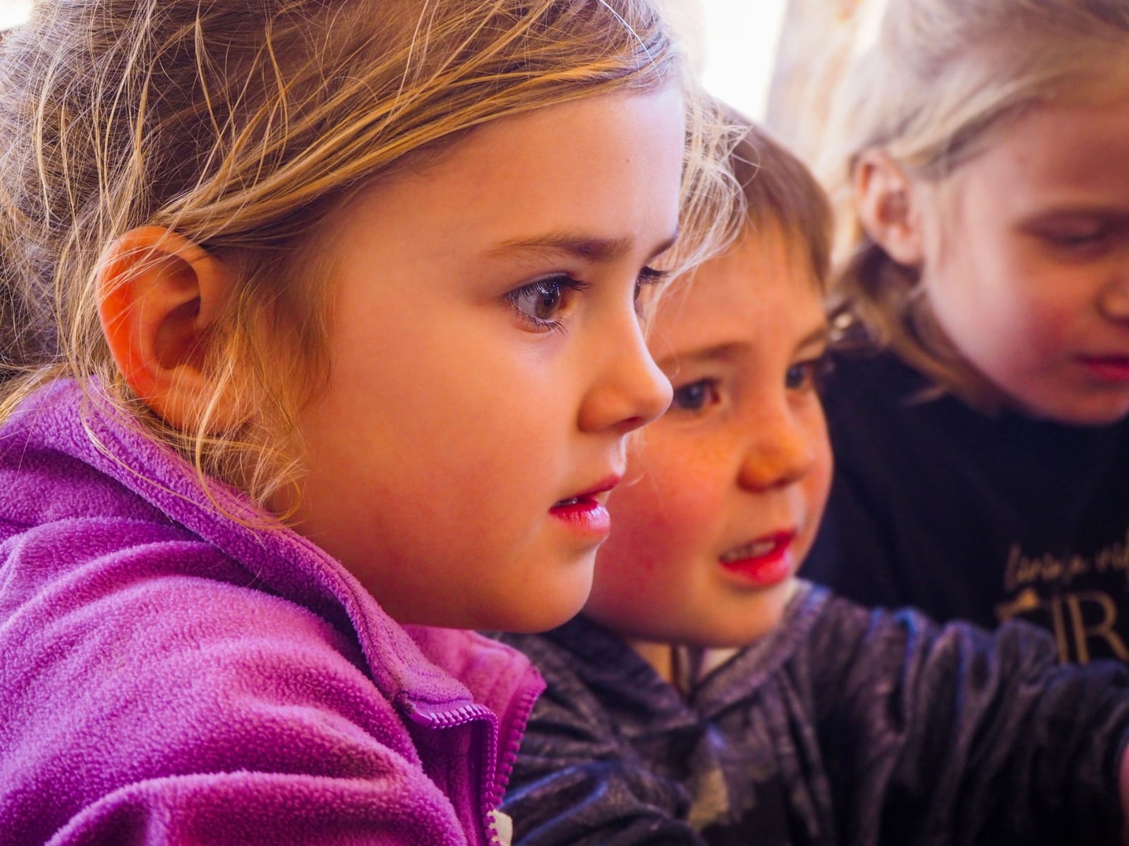 Verdala International School - international baccalaureate school in Pembroke, photo 8