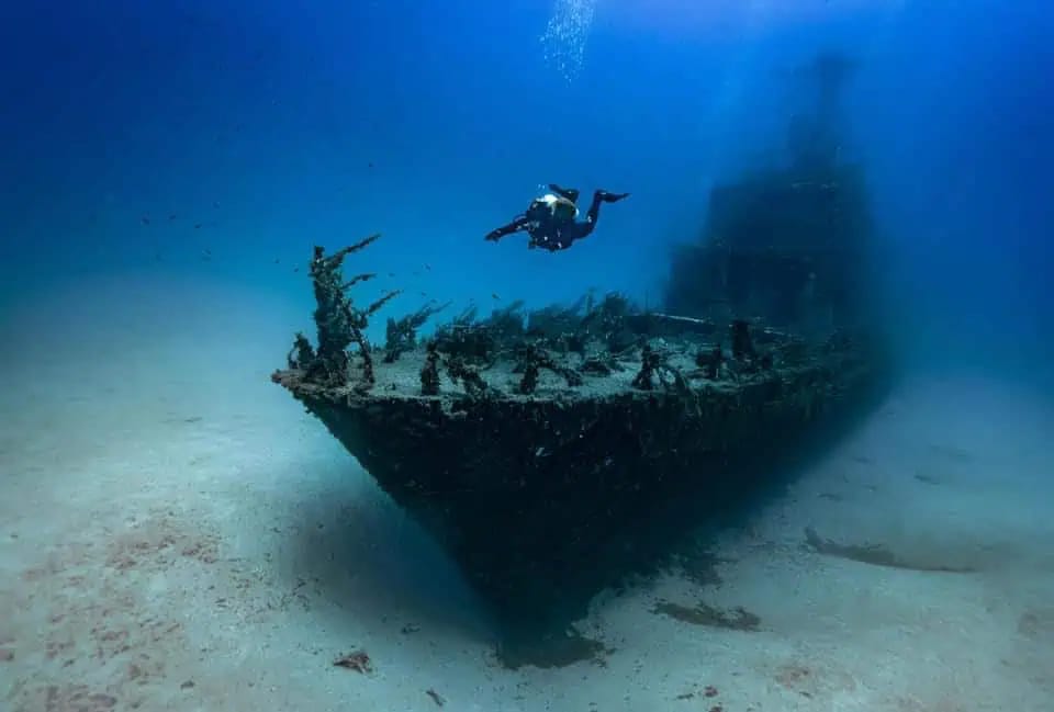 Watercolours Dive Centre - dive centre and scuba school in Sliema, photo 11