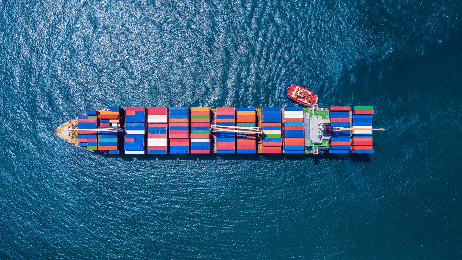 World Express Logistics - freight forwarding and express courier in Marsa, photo 11