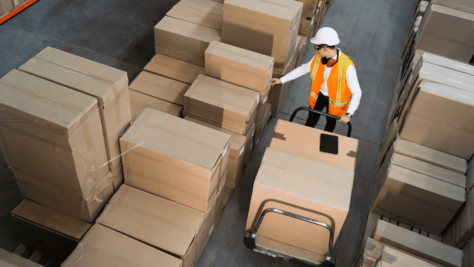 World Express Logistics - freight forwarding and express courier in Marsa, photo 7