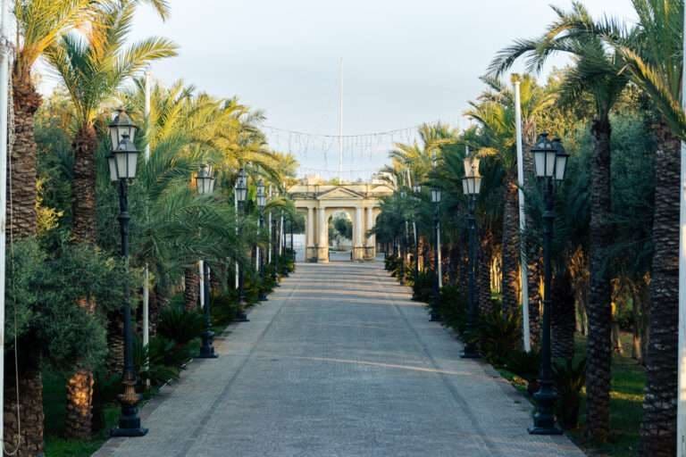 Tree-lined avenue with lamp posts leading to the palazzo