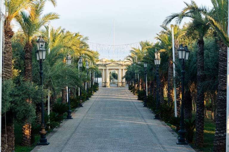 Palm-lined cobbled avenue of Il-Vjal leading to the palazzo