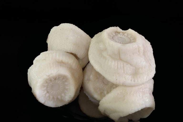 Several white ġbejna cheeses on a dark background