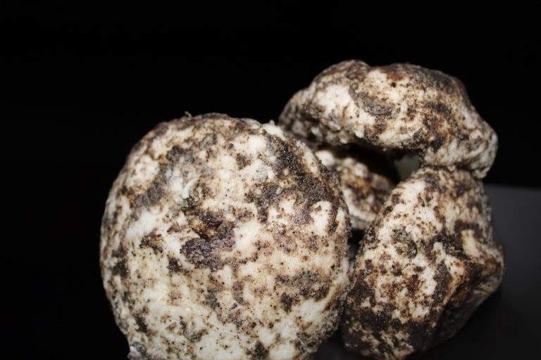 Pepper-coated ġbejna cheeses on a dark background