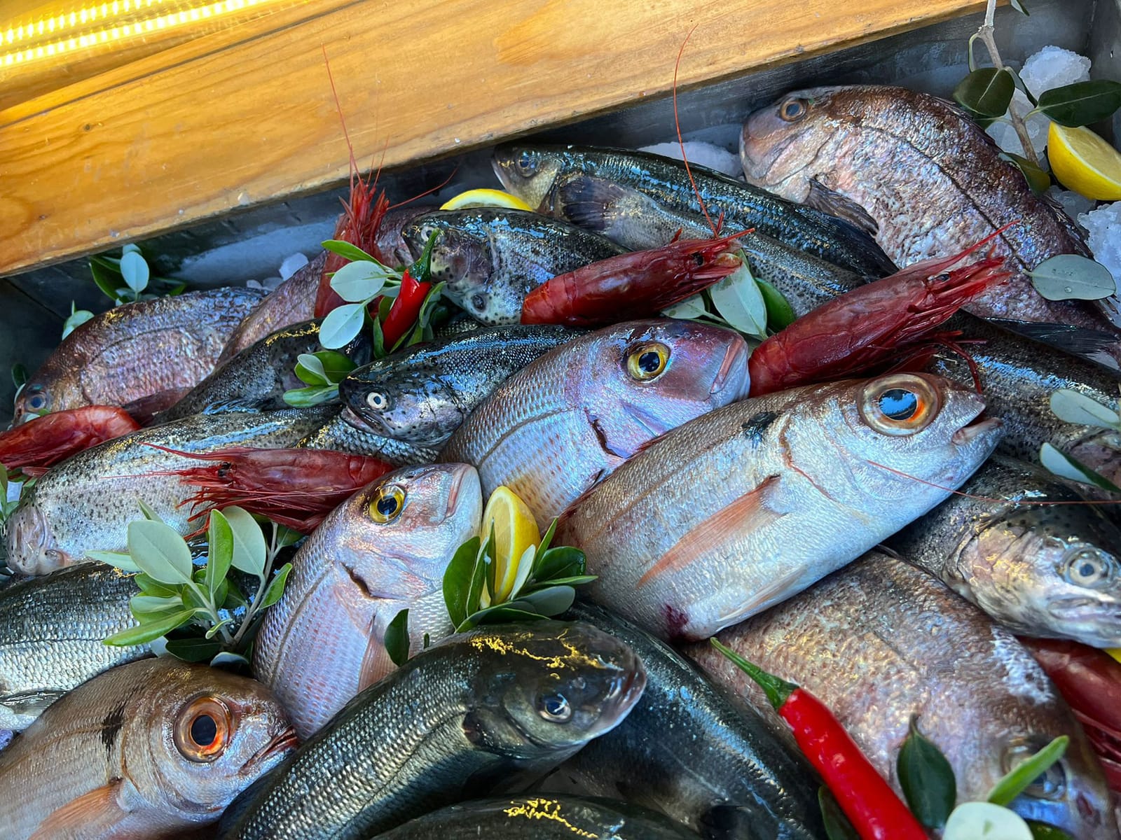Cockney`s - Seafood restaurant in Valletta, Malta, photo 7