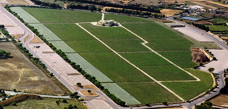 Meridiana Wine Estate - Wine estate and tastings restaurant in Attard, Malta, photo 1