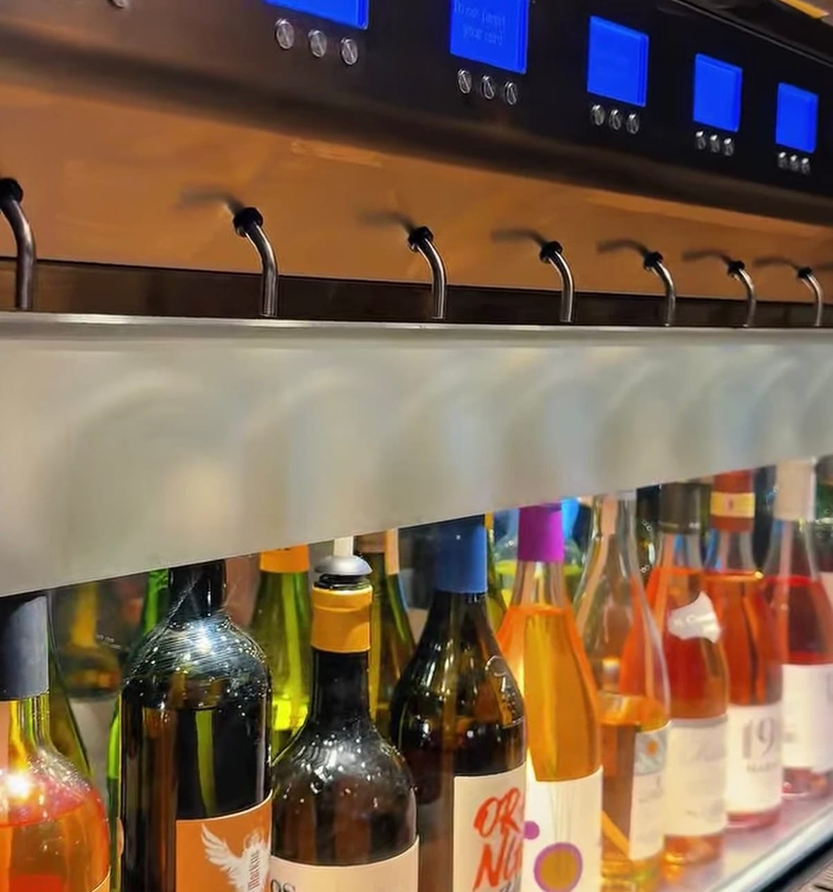 Vinomad - Mediterranean restaurant in Floriana, Malta, photo 4